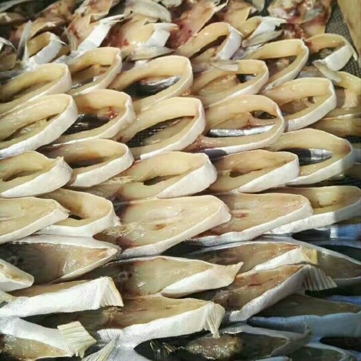 金槍魚干