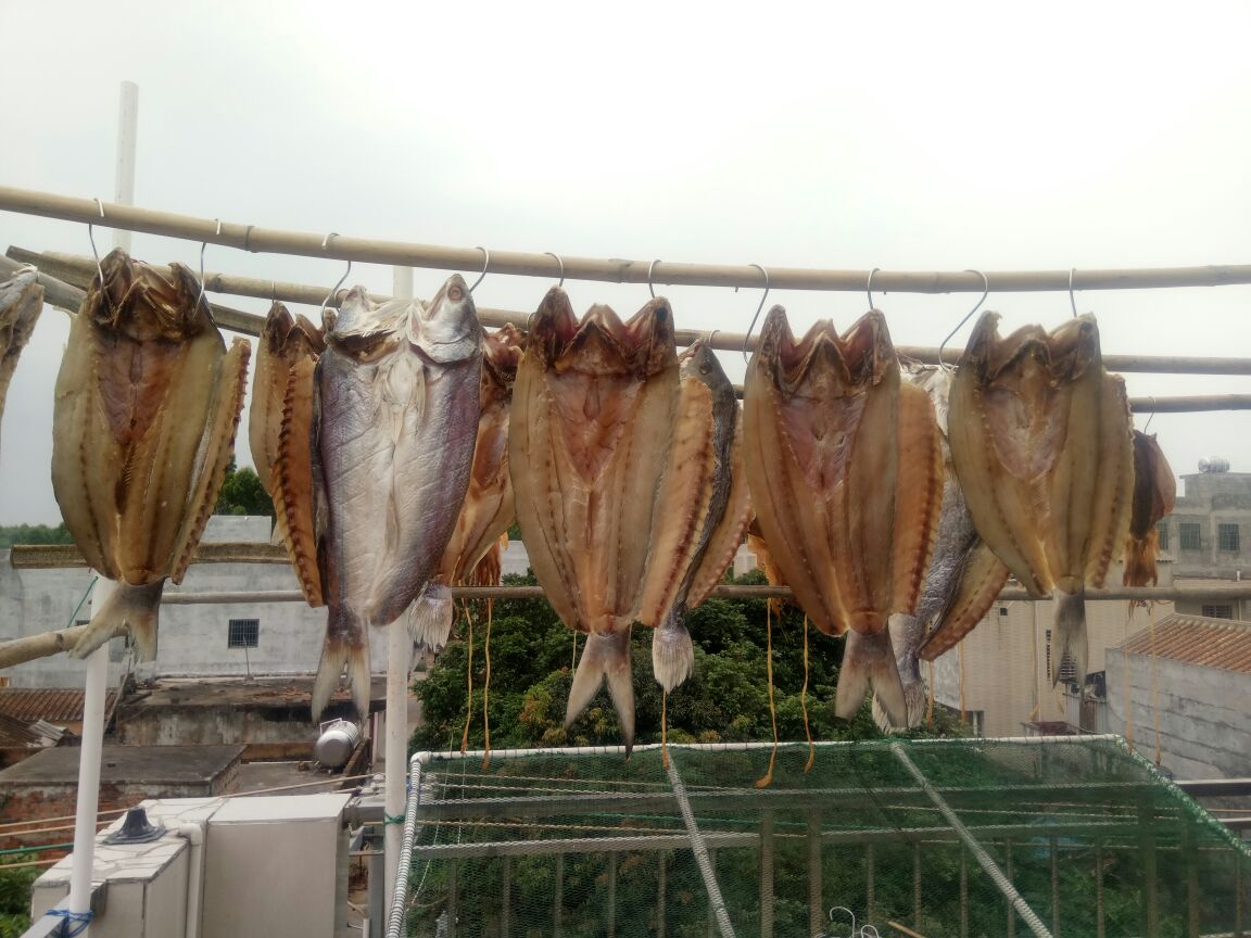 小黃魚干 刺少肉多鮮嫩