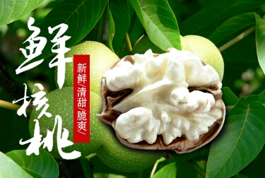 薄皮核桃 40mm以上 袋装 3-6个月