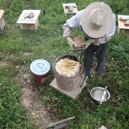 重庆市野生蜂蜜 塑料瓶装  2年以上