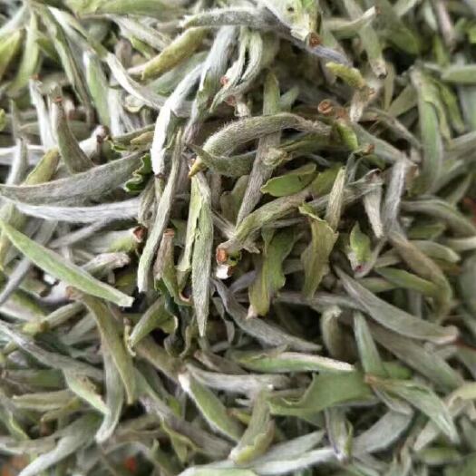 福鼎市 梅山白茶 2020年白毫银针净含量500g