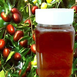 图木舒克枣花蜜 塑料瓶装 98% 2年