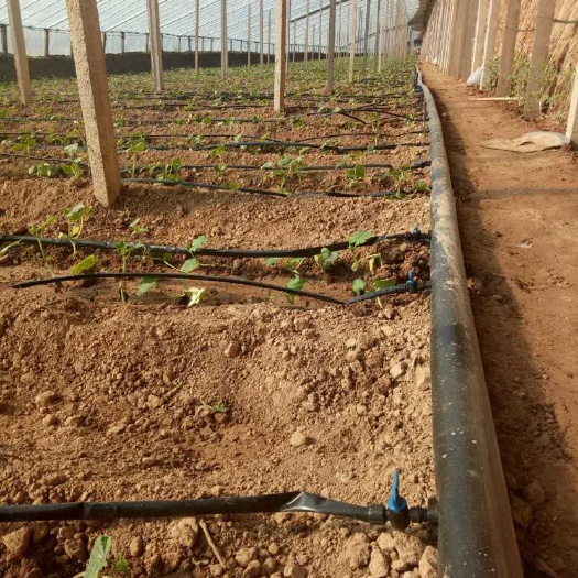 菏泽贴片式滴灌带间距可选流量稳定