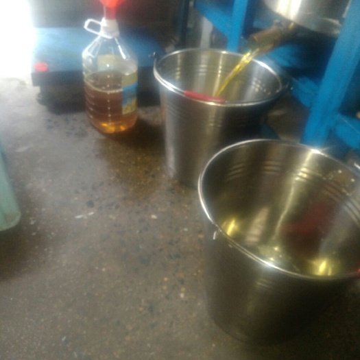 压榨葵花籽油 五月中旬有纯正菜子油售，择诜干净`，清亮的农户产品，有产地，