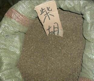 漳县柴胡种子 