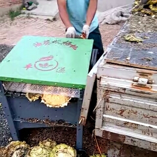 景县果蔬切片机  油葵脱粒机