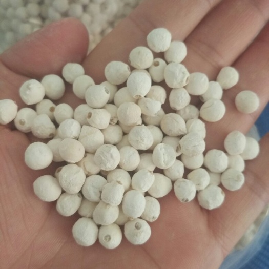 苏州芡实  2020苏芡新货苏州白鸡头米干货新鲜小颗粒