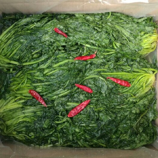 慈溪市雪里红芥菜 