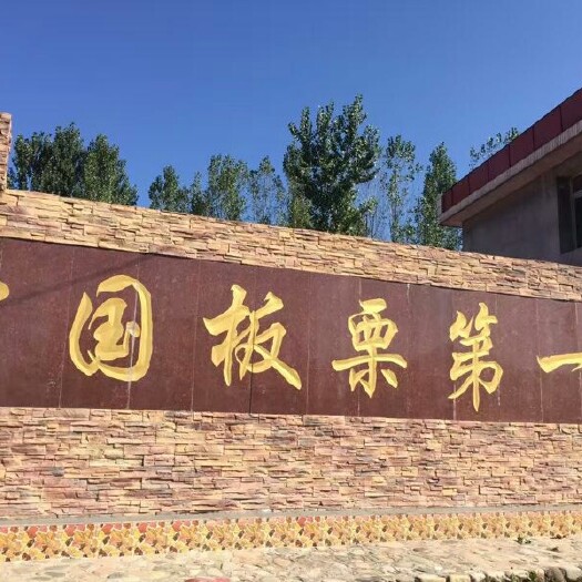 迁西县迁西板栗 特级 特选
