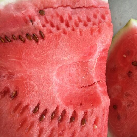 中卫金城5号西瓜  宁夏硒砂瓜