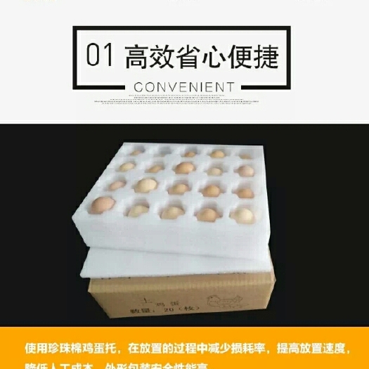 漯河珍珠棉蛋托