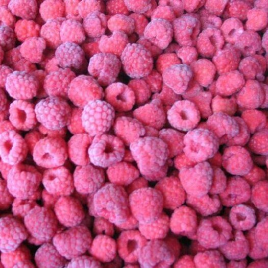 尚志市树莓冻果 红树莓冻果 冷库直销 量大优惠 欢迎合作 浩海浆果