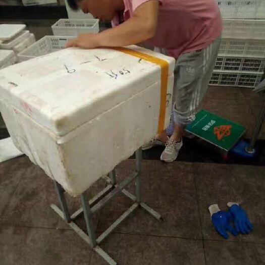 泗阳县红壳小龙虾 大红6-9钱