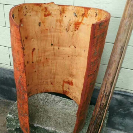 东兴市肉桂