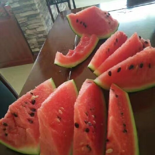  露地礼品小西瓜蜜茉莉小西瓜