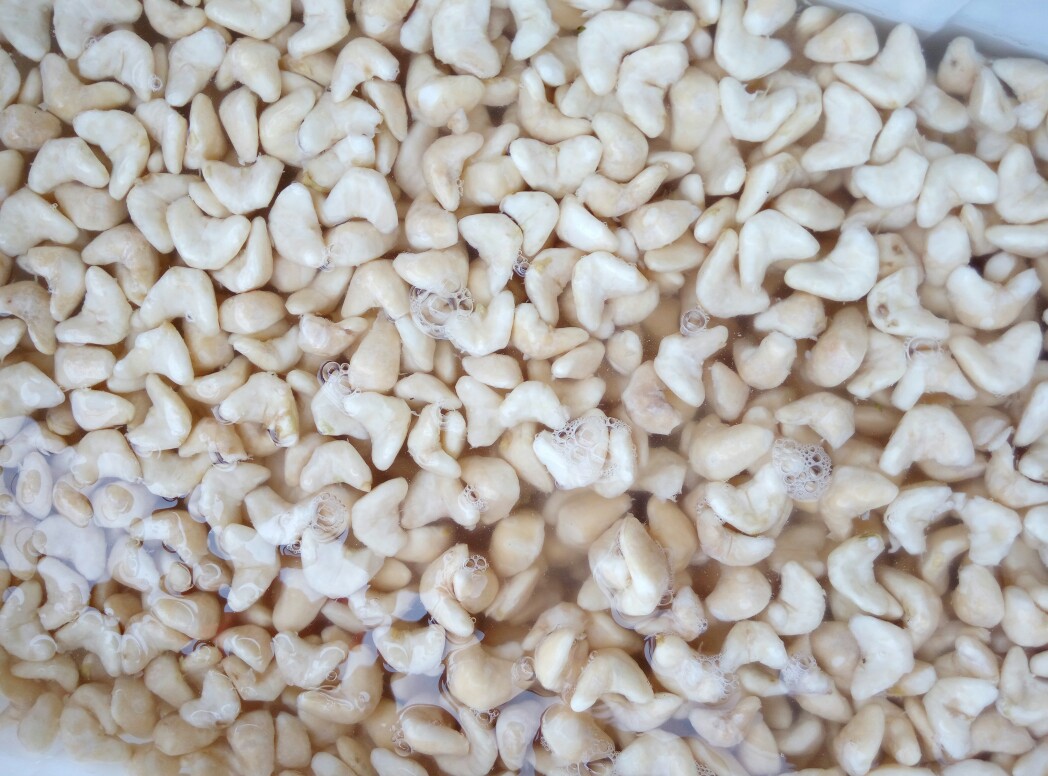 泰州菱角米嫩菱角现剥菱角米