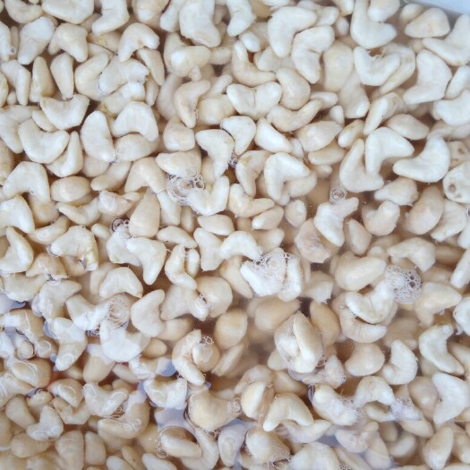 泰州菱角米嫩菱角现剥菱角米