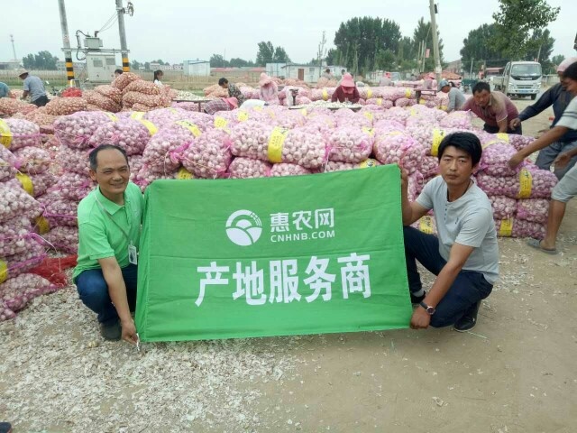 中牟县中牟优质大蒜