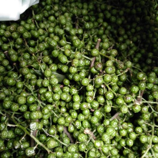 遵义九叶青花椒 干花椒 特级