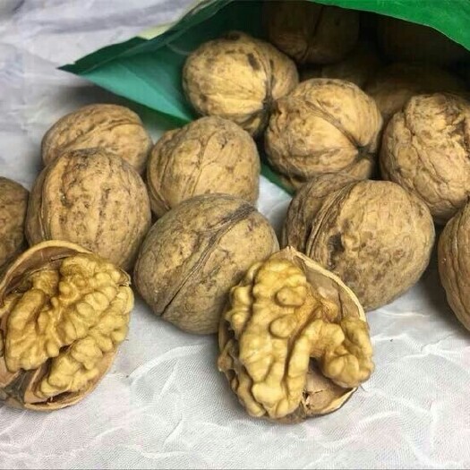 鄯善县新疆核桃