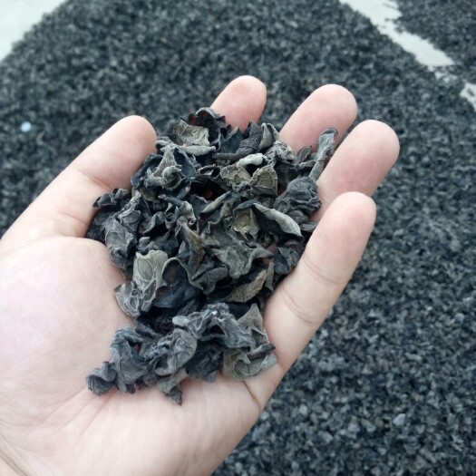 蛟河市干黑木耳 1年 