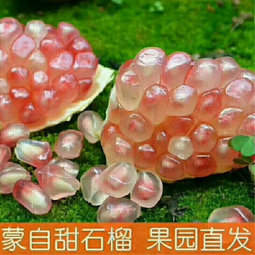 蒙自市云南石榴 0.3 - 0.5斤