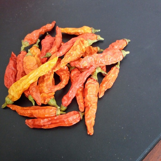 宜章县小米椒 2~5cm 橙黄 特辣 