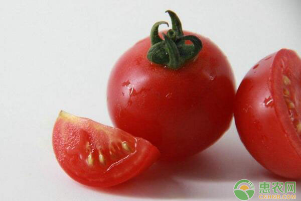 番茄高产核心栽培技术-图片版权归惠农网所有