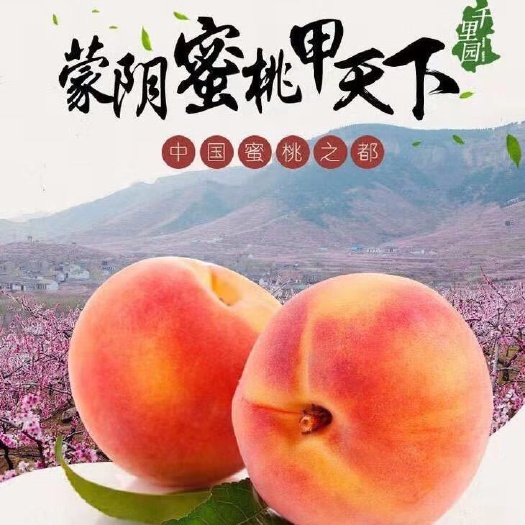 蒙阴县蒙阴蜜桃 60mm以上 4两以上