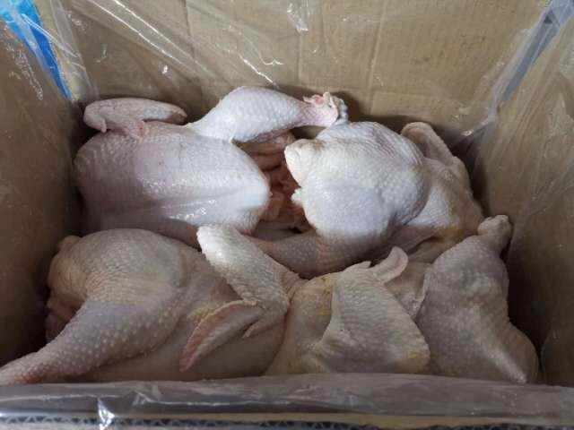 单县 三黄鸡