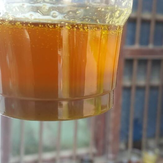 霍邱县油菜籽