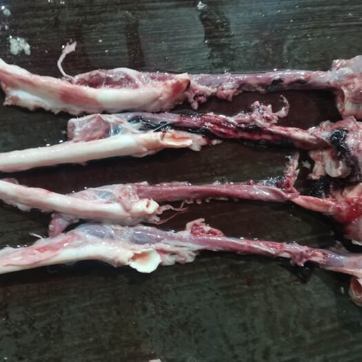 重庆市猪心管