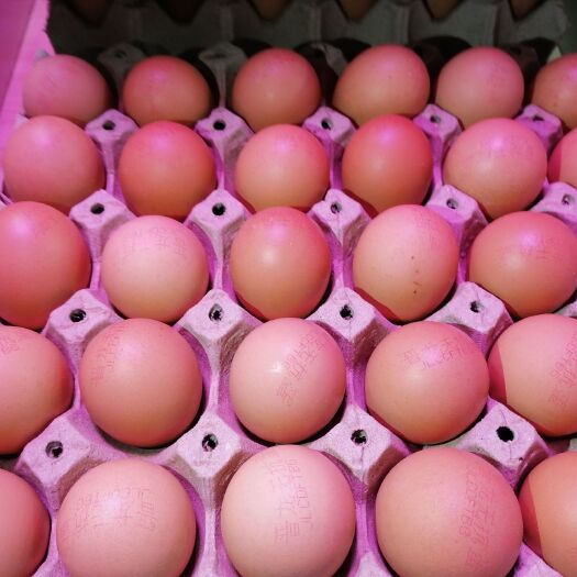 西宁土鸡蛋 各种精品蛋类，特产蛋类批发散售，价格便宜，量大可谈！