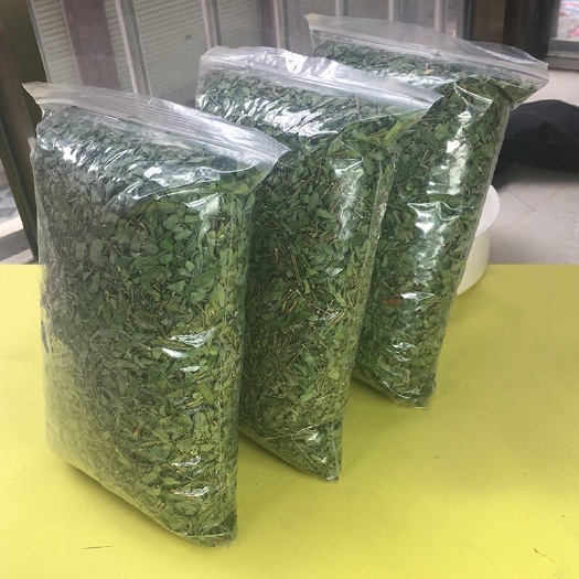 贵港广西鸡骨草鸡骨草叶子鸡骨草茶清肝明目凉茶