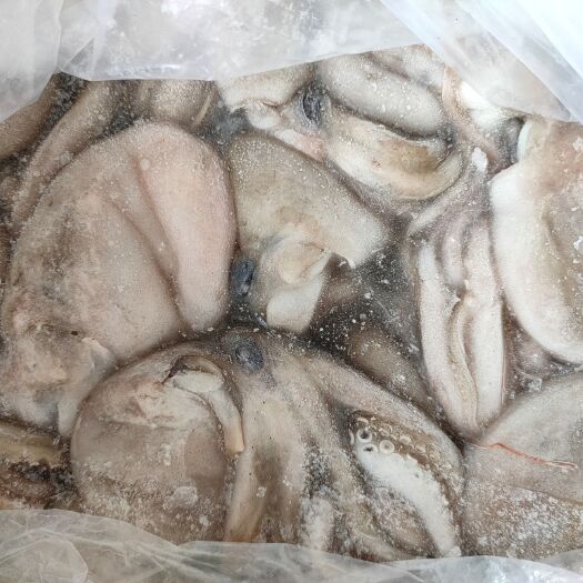 北海 八爪鱼（无泡水），30-50、50-80，净重20斤