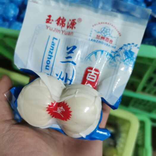 兰州 鲜百合四头