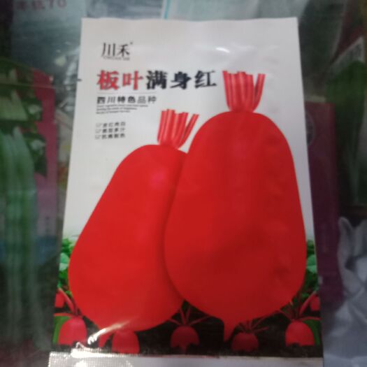 郧西县红皮萝卜种子 良种