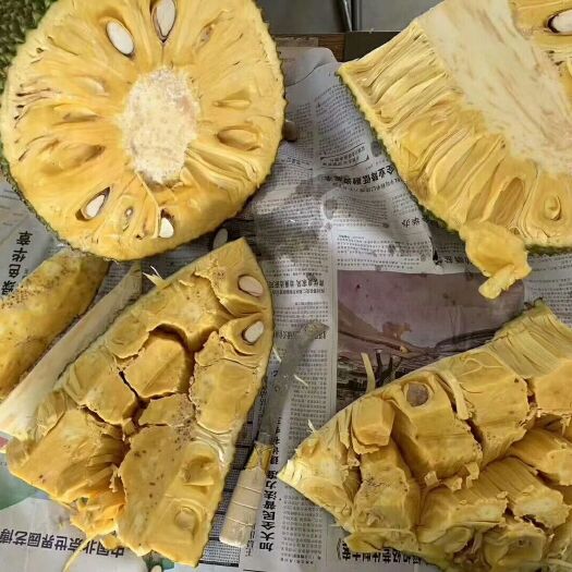 儋州市海南菠萝蜜产地直售一手价