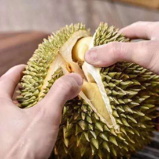 南宁 泰国榴莲当季青皮榴莲新鲜水果金枕榴莲巴掌一整箱批发非猫山