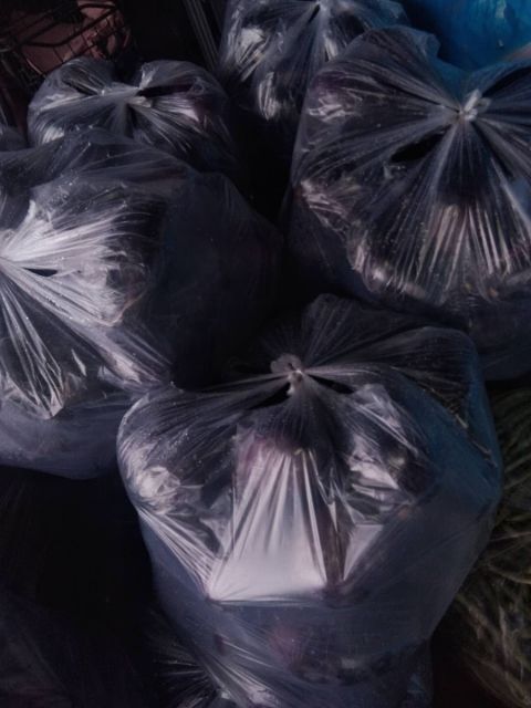 张家口紫光圆茄  油光发亮，信用第一