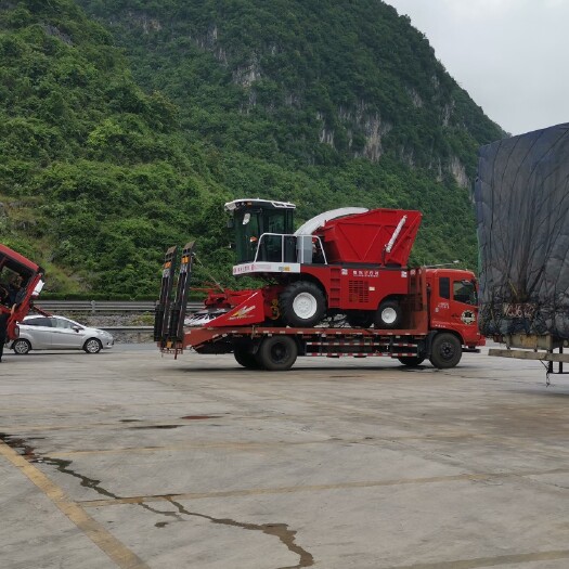 新乡收获机 自走试玉米秸秆全株青储机牧草收割机