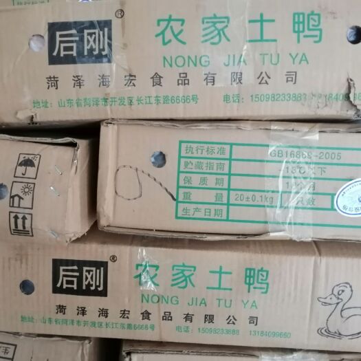 济南 老鸭