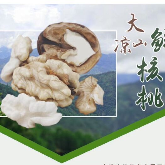 会东县 大凉山新鲜核桃