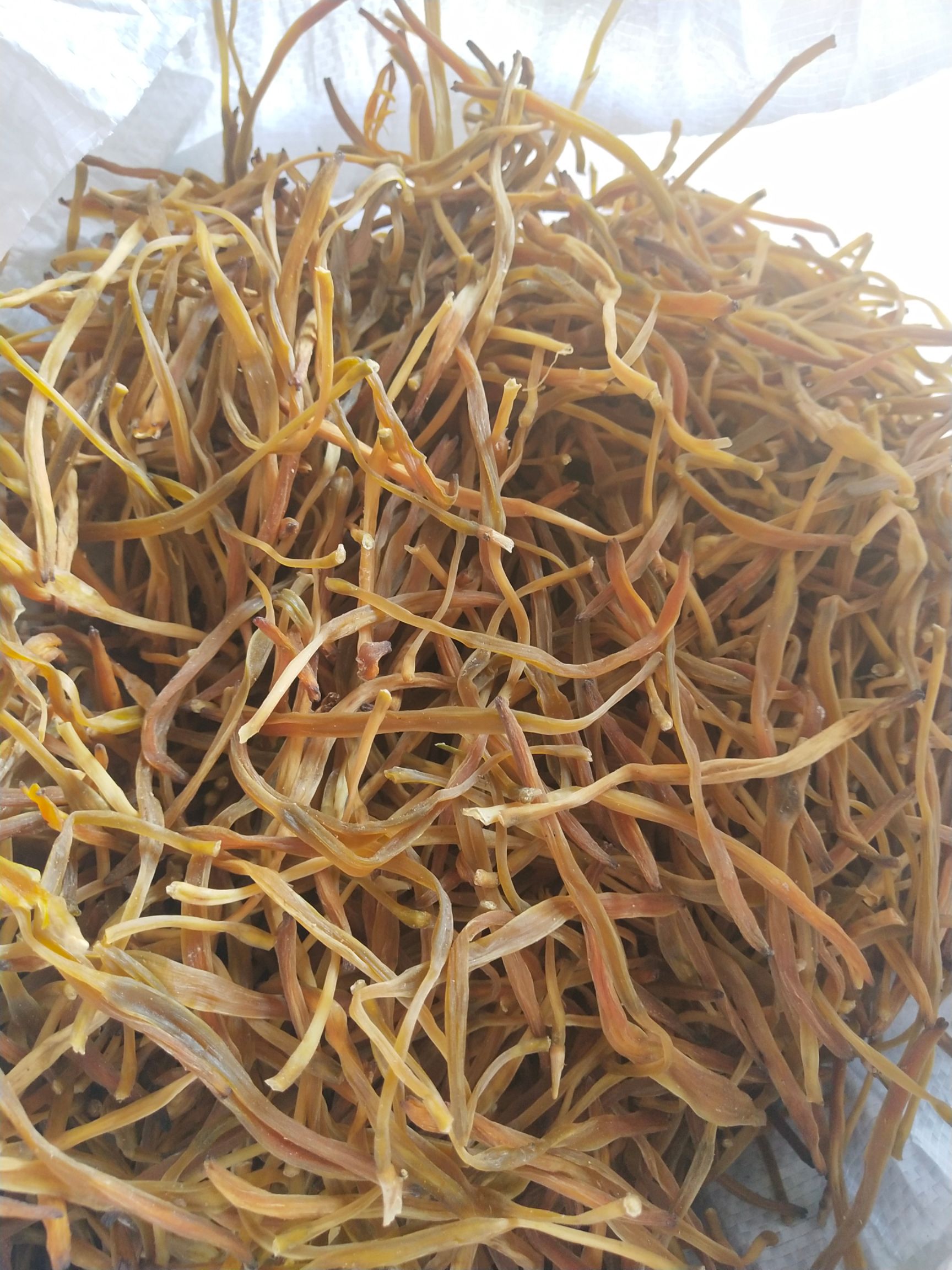 黄花菜  熟条黄花，产地直供，菜农直销。