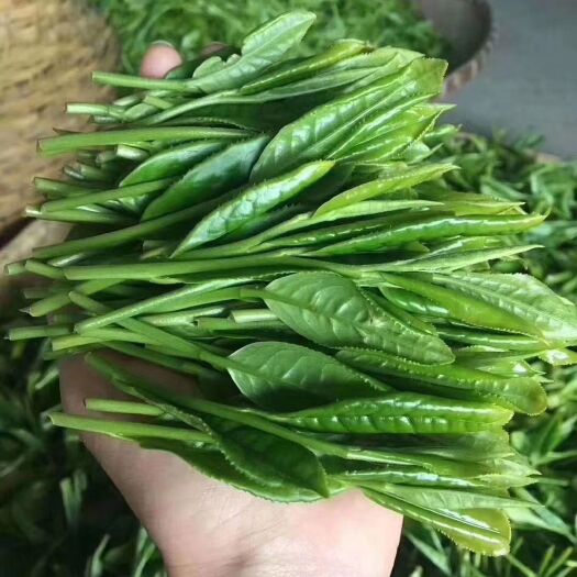 黄山 纯手工太平猴魁，两叶抱一芽，兰花香味十足，真正产自黄山猴坑