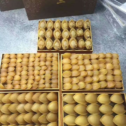 鲍鱼干  南日岛鲍鱼，鲍农直销，价格实惠，规格齐全，是您养生