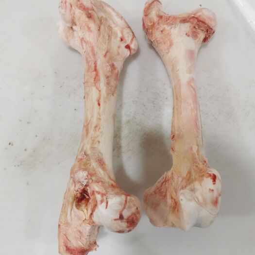 献县 牛棒骨