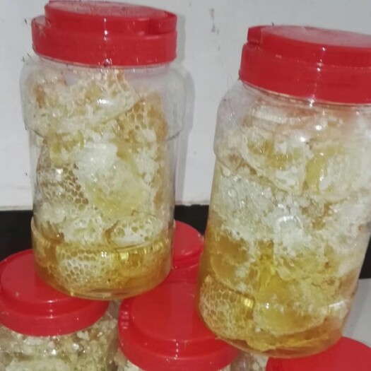 南平 土蜂蜜大丰收需要的联系