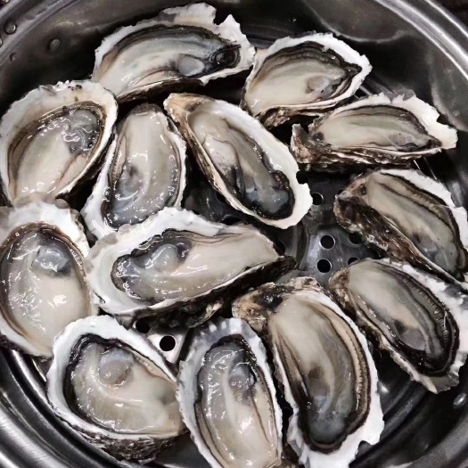 饶平县汫洲大蚝 货真价实，没有中间商