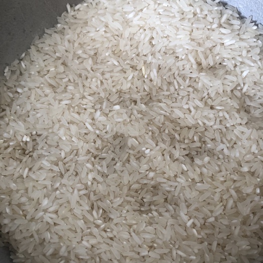 常德 天之香大米